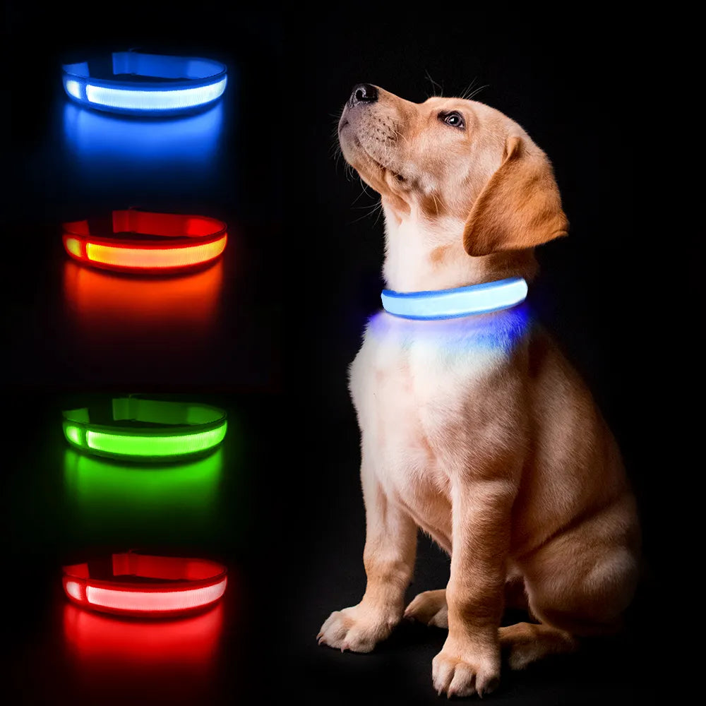 LED Dog Collar - brevityofgoodsshop