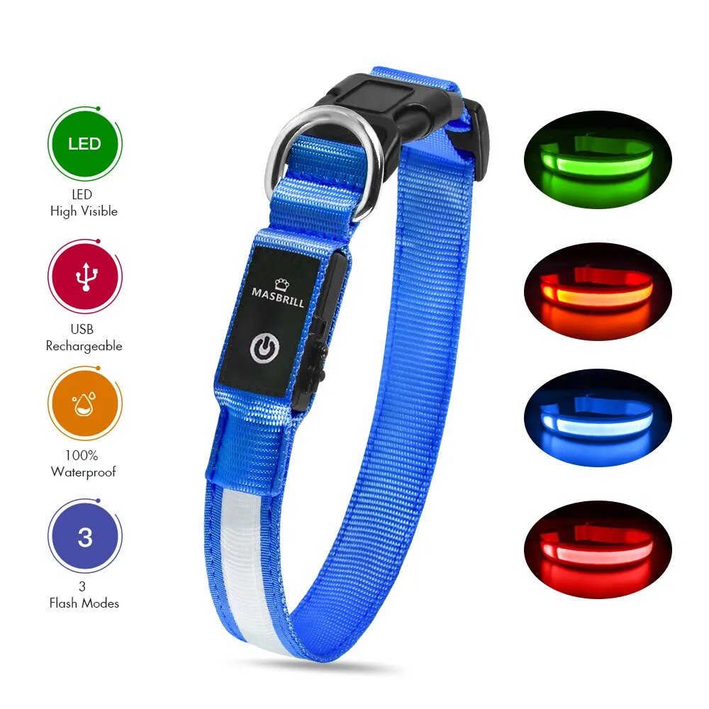 LED Dog Collar - brevityofgoodsshop