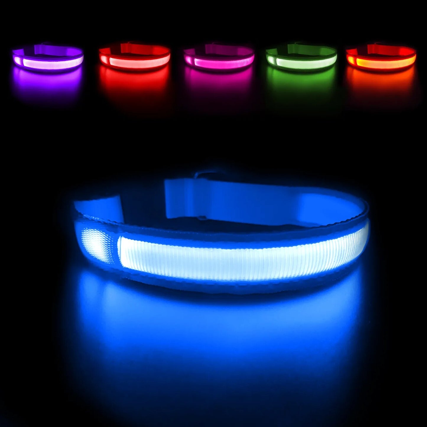 LED Dog Collar - brevityofgoodsshop