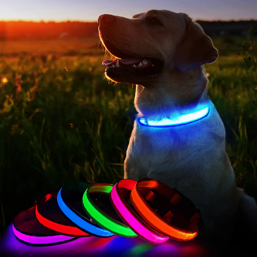 LED Dog Collar - brevityofgoodsshop